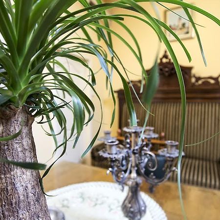 Luna Apartment Νόβι Σαντ Εξωτερικό φωτογραφία